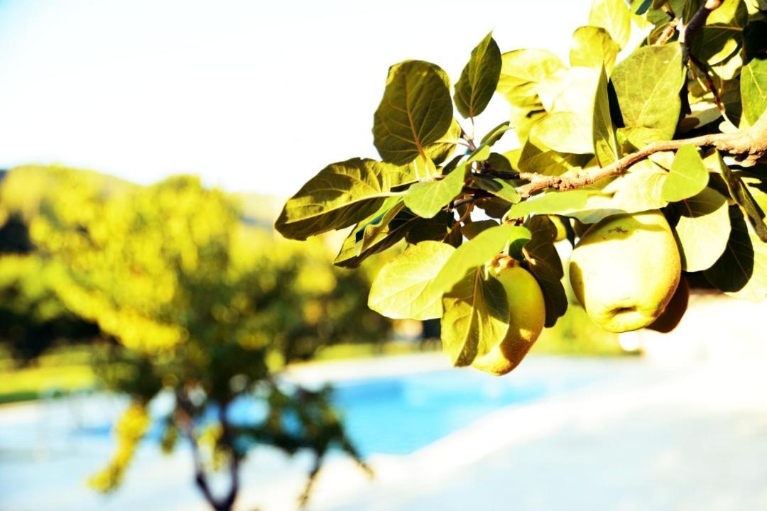 Pir Efes Konaklari İzmir Exteriér fotografie