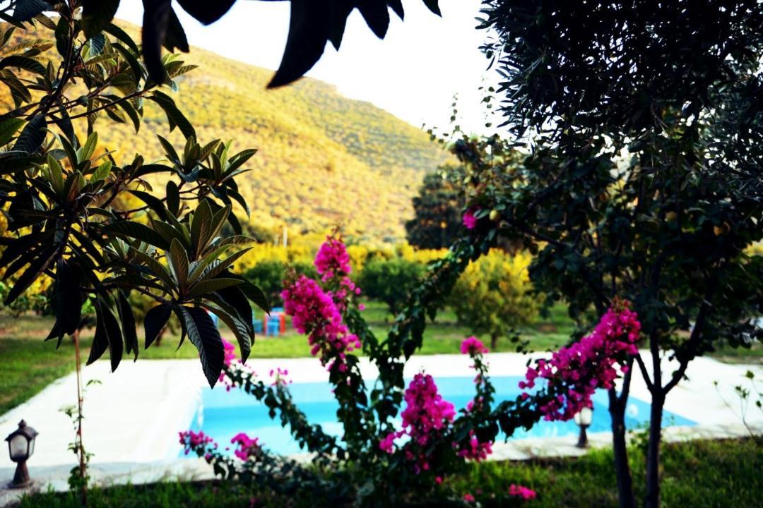Pir Efes Konaklari İzmir Exteriér fotografie