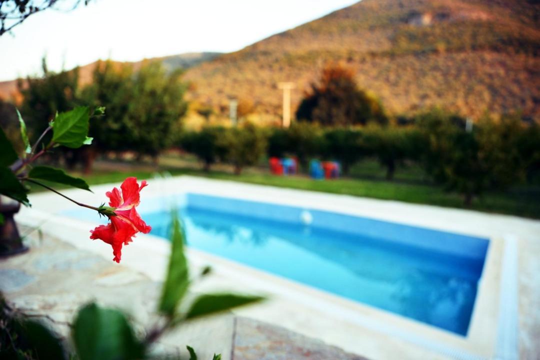 Pir Efes Konaklari İzmir Exteriér fotografie
